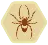 Hive spider.png