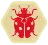 Hive ladybug.png